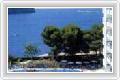  1  Riu Camp De Mar