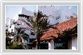  1  Jardin Tropical